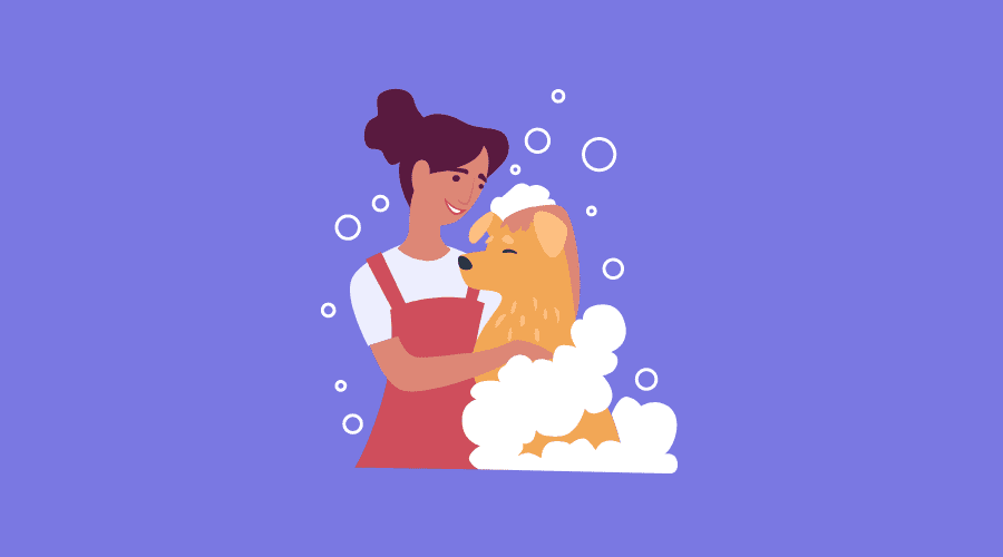 Pet Grooming Salon Customer Delight Ideas Pet Grooming Salon Customer Delight Ideas