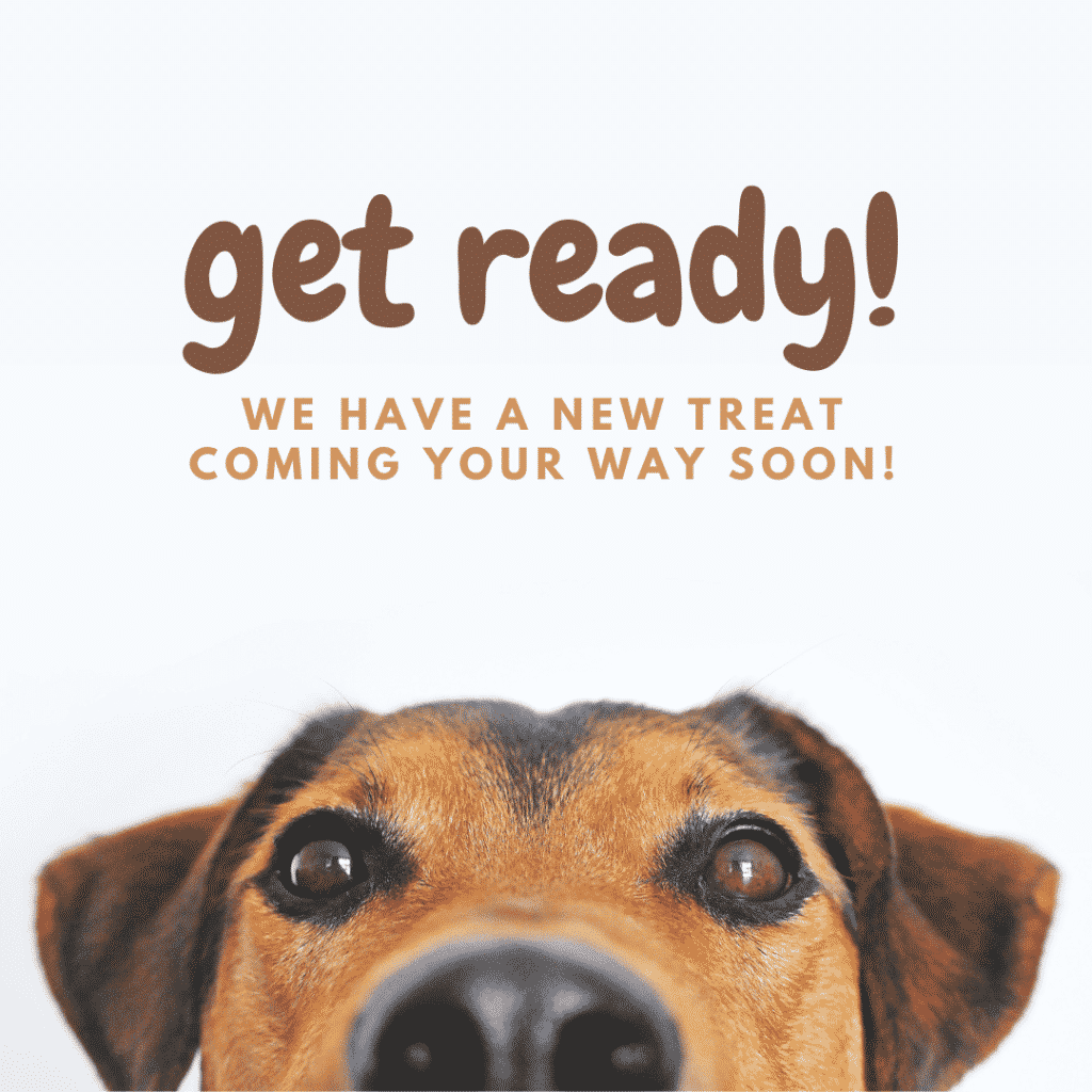 I have an announcement!
